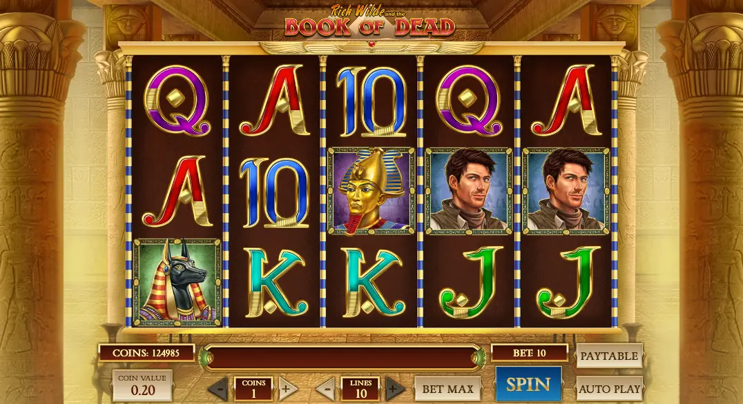 Book of Dead Slot